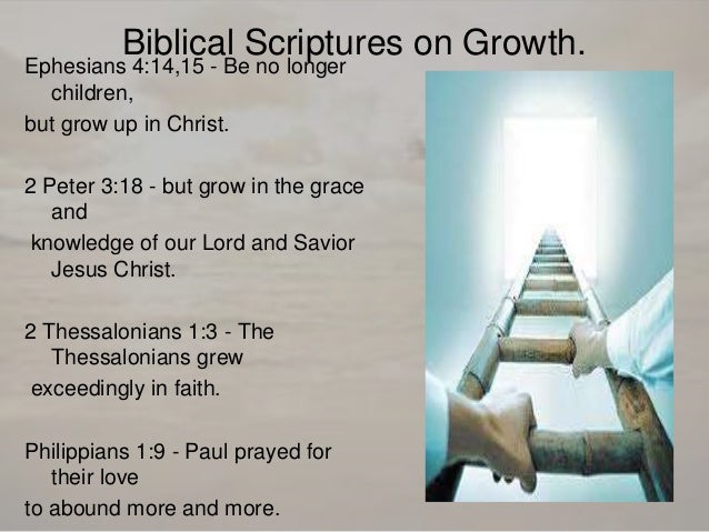 verses bible Be mature verses bible Be mature